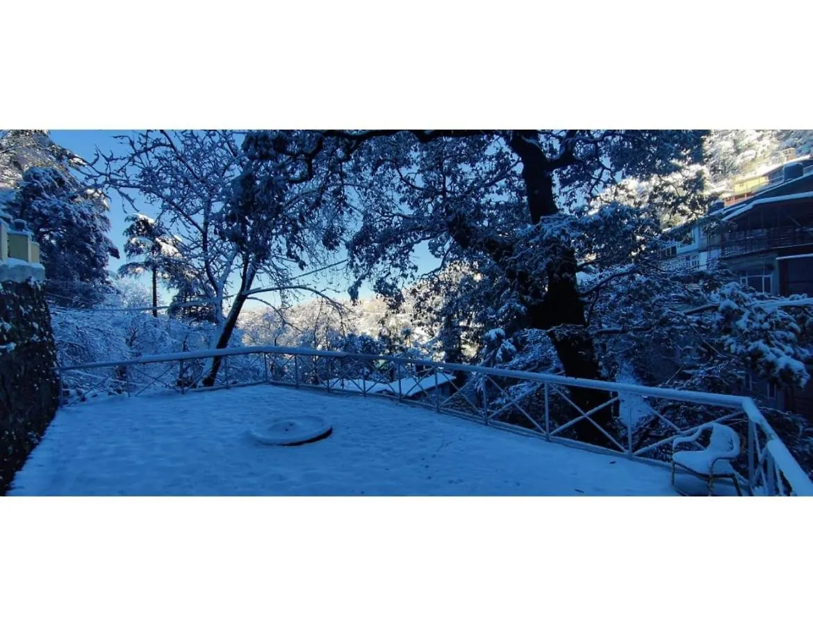 Homestay Crossroads Bed & Breakfast, Shimla Apartment
